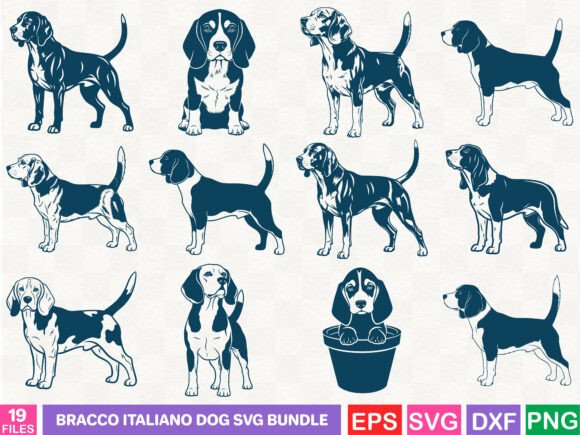 Bracco Italiano Dog SVG Bundle